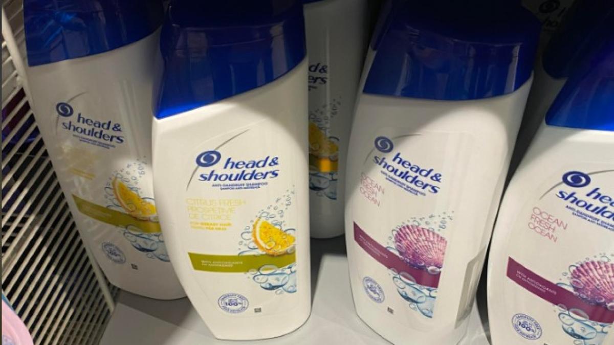 cat-costa-sampon_33619600