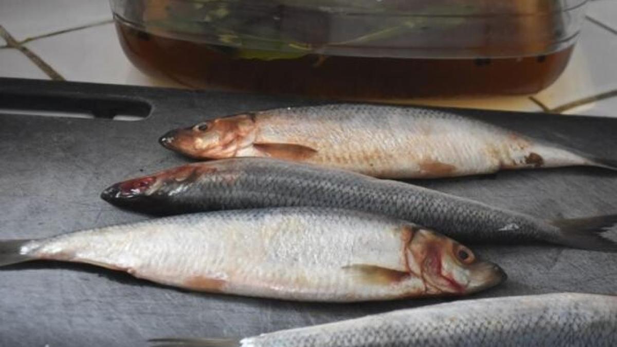 fara-otet-si-ceapa--cum-sa-marinati-heringul-astfel-incat-sa-se-topeasca-in-gura_82156200