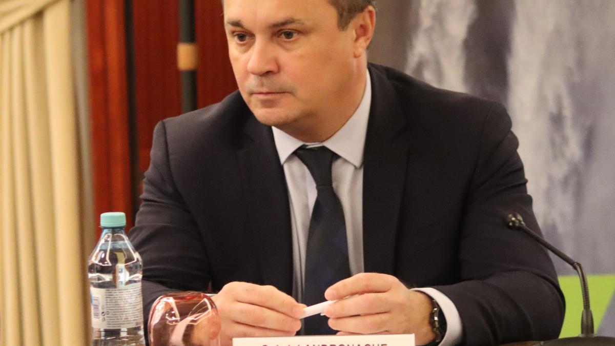 gabriel-andronache-transelectrica_03106000