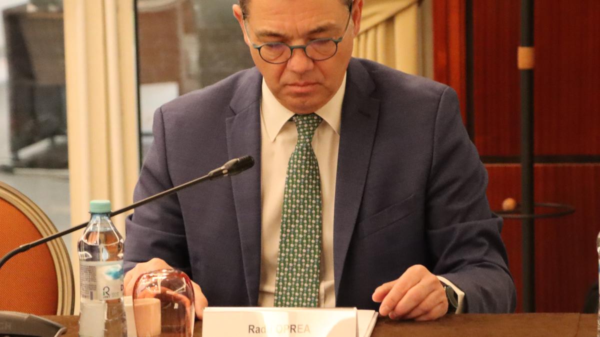 radu-oprea-conferinta_22656900