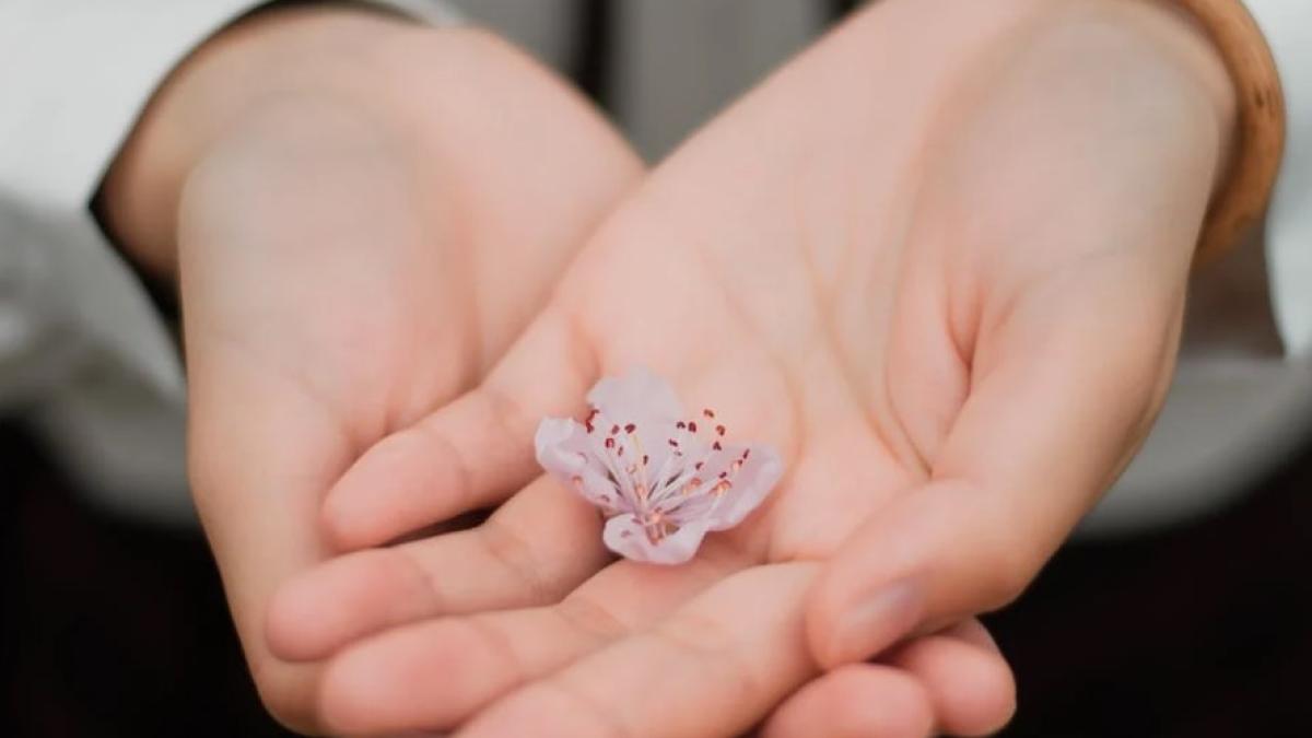 maini_foto_pexels_53839700