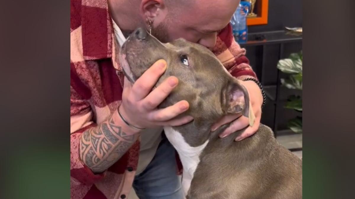 caine_tiktok_56699400