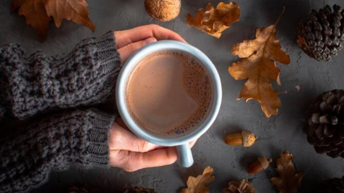 ciocolata-calda-de-casa-din-doar-doua-ingrediente_69516000