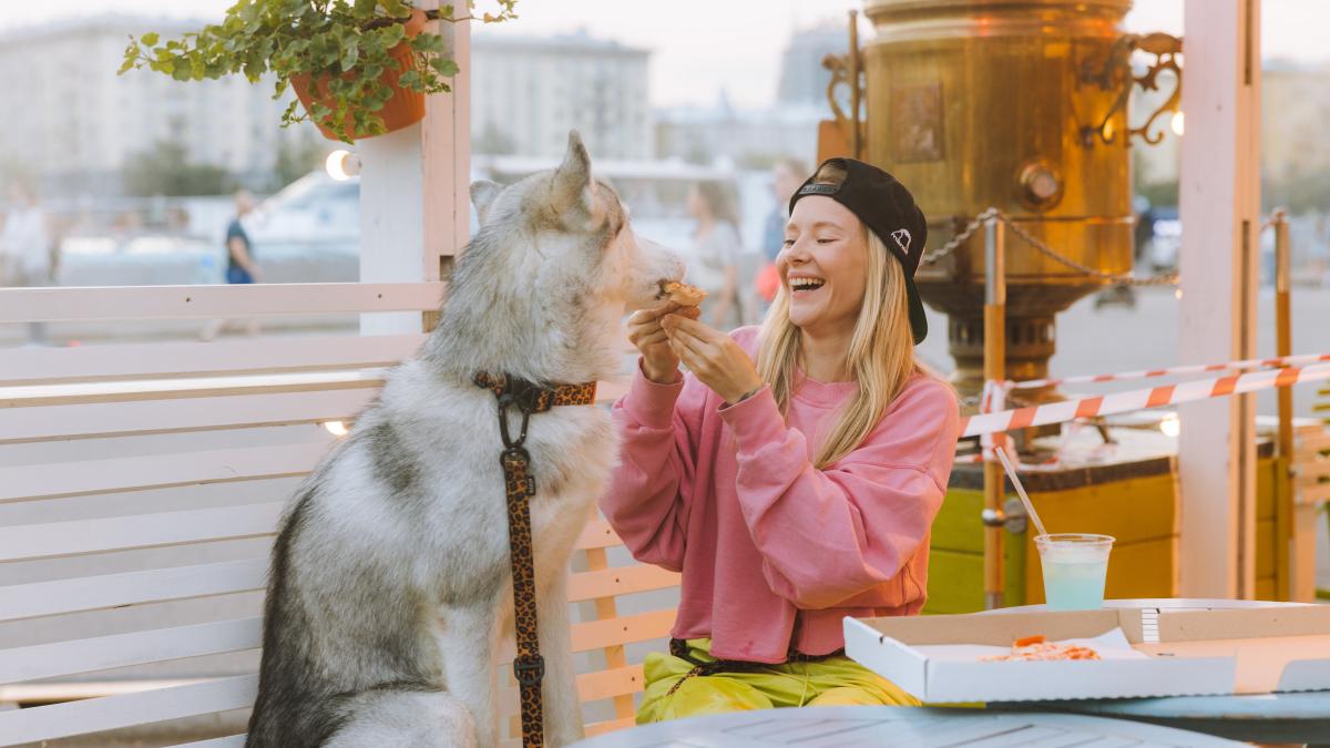 britanicii-au-inceput-sa-manance-mancarea-animalelor-de-companie_00649800