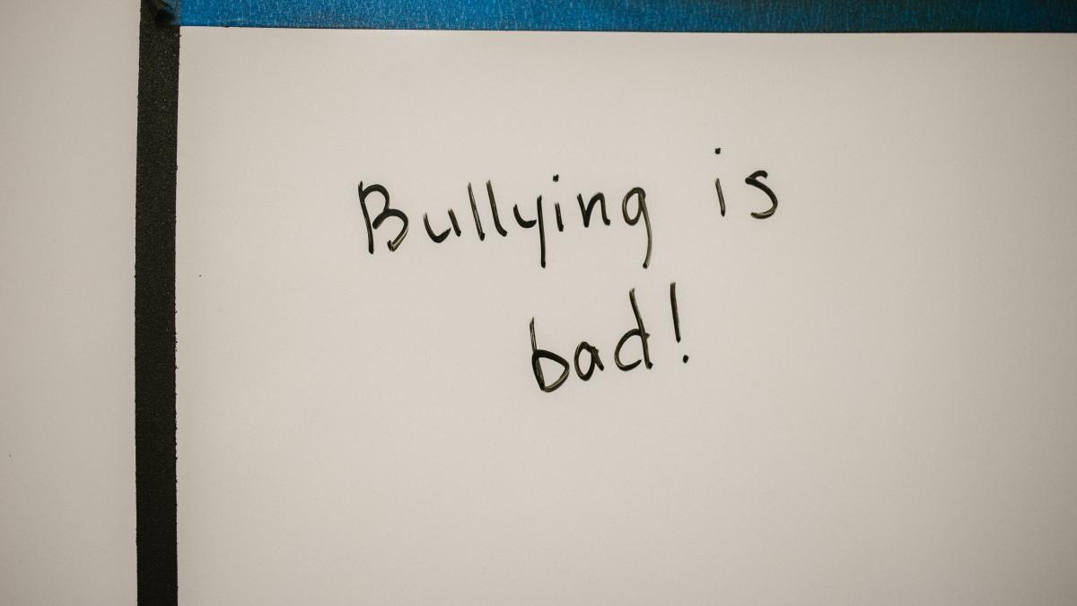 o-eleva-a-fost-batuta-cu-pumnii-si-picioarele_81364300