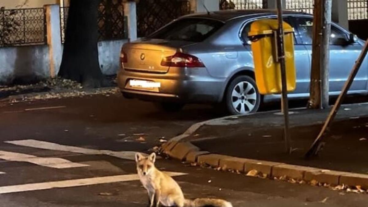 whatsapp-image-2022-12-02-at-19-49-49_54614300