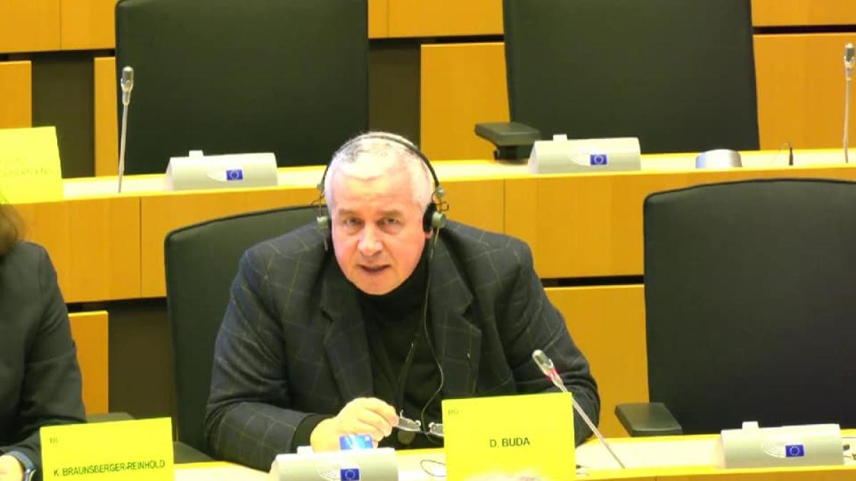 daniel_buda_pnl_f_71563300