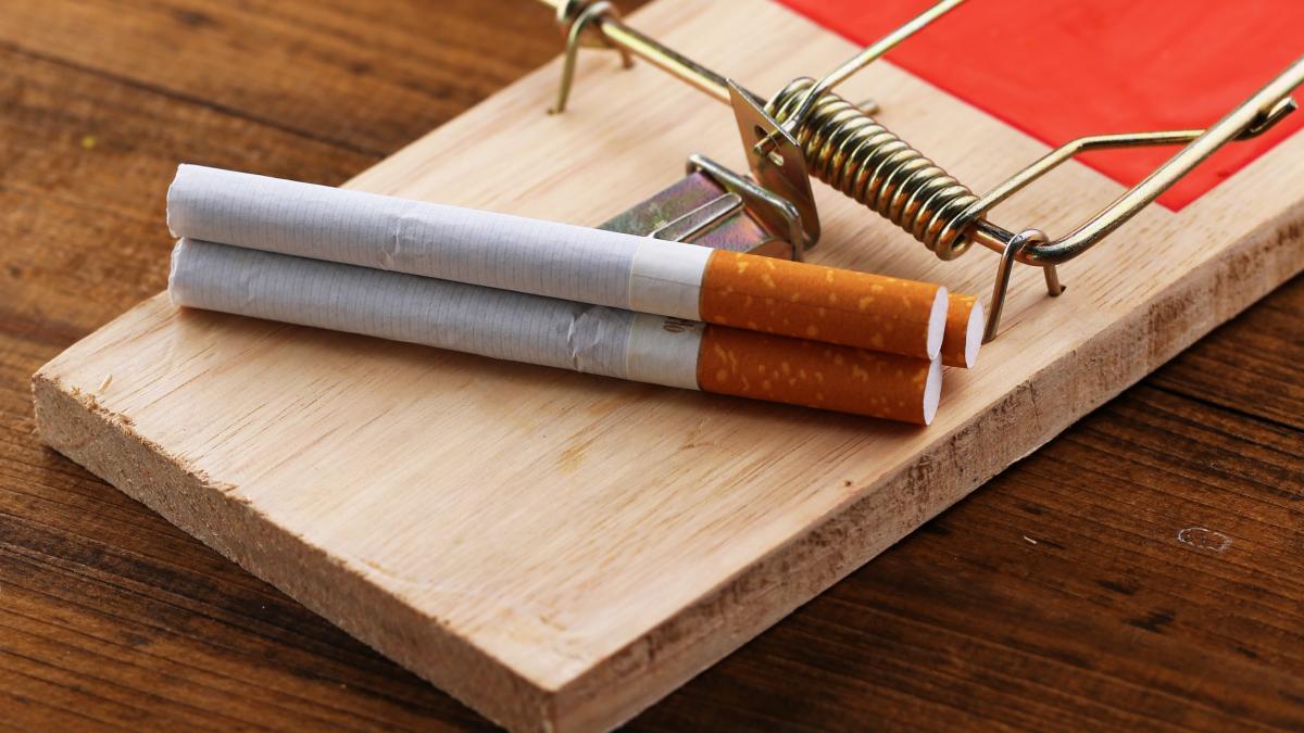 nicotina-soareci_98578500