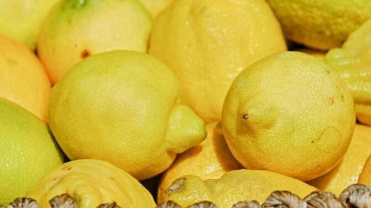 lamaia-va-ramane-gustoasa-si-parfumata-cateva-luni--doua-secrete-simple--dezvaluite-de-bucatari_62158700