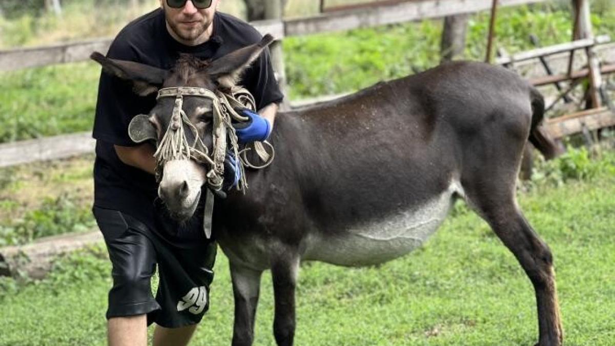 poftiti-la-targ_butuceni_7_75735000