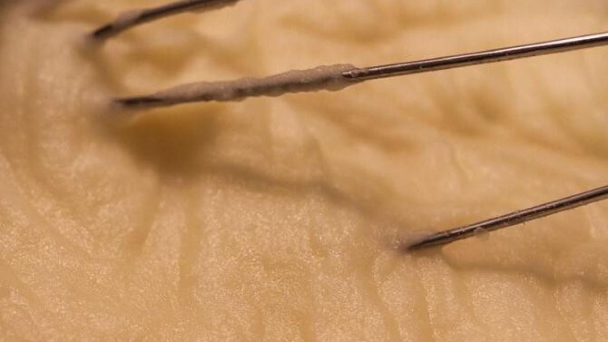 secretul-francezilor--un-ingredient-simplu-va-transforma-un-piure-banal-intr-o-mancare-spectaculoasa_91122600