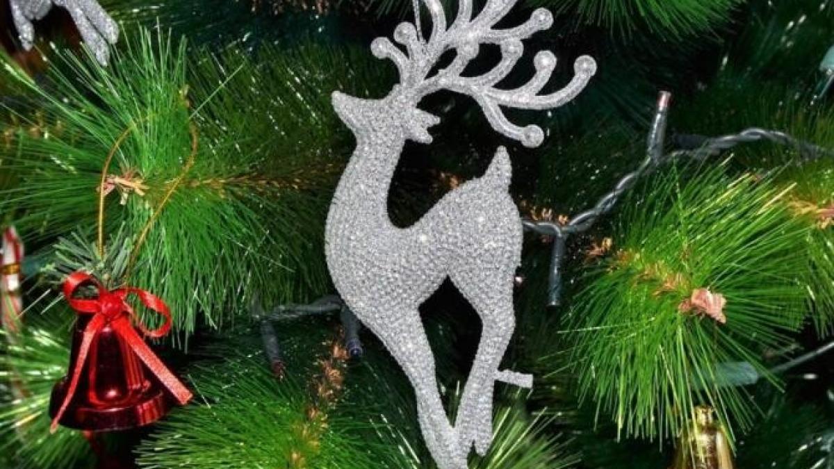 bradul-de-craciun-va-arata-mai-magnific-si-mai-pufos--cu-acest-truc--iata-ce-trebuie-sa-faci_65931200