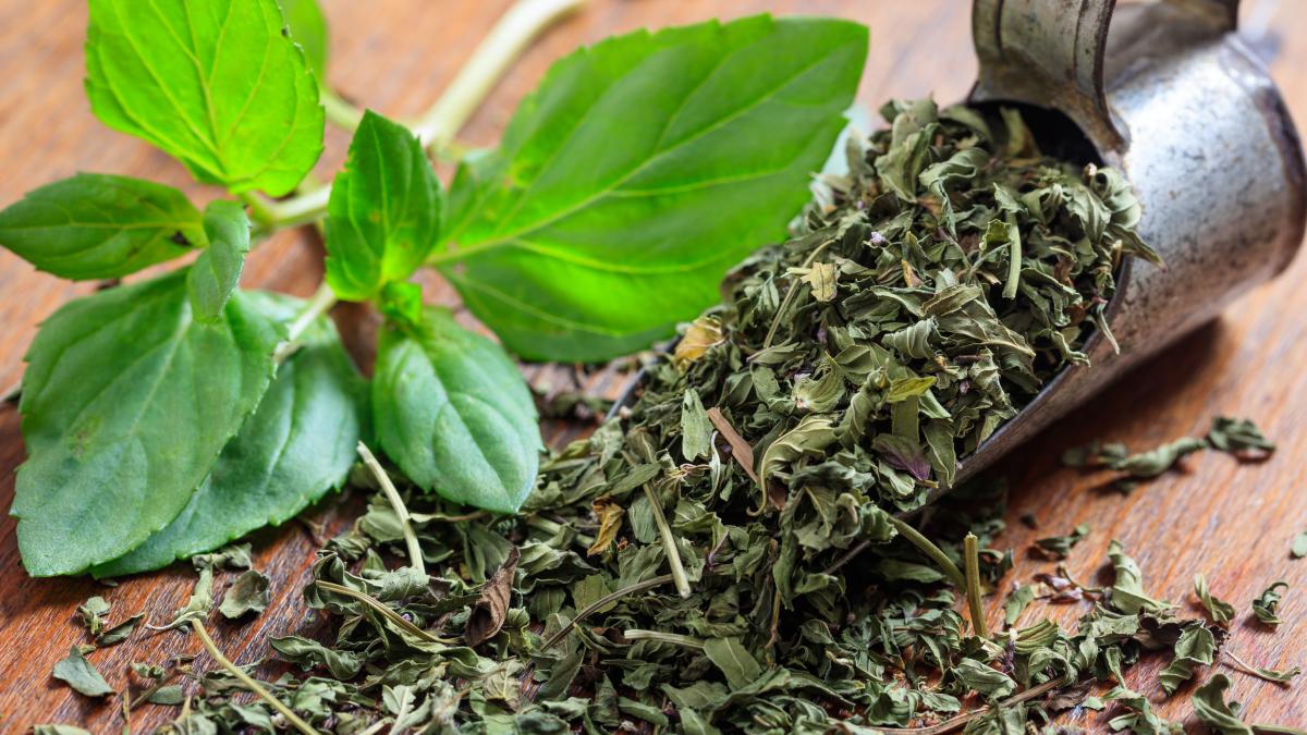 menta-uscata-si-proaspata_41283700