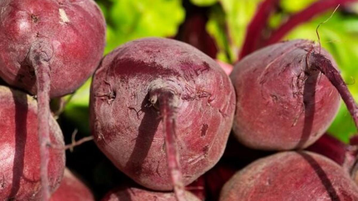 sfecla-rosie--un-depozit-de-vitamine-si-minerale_45284400