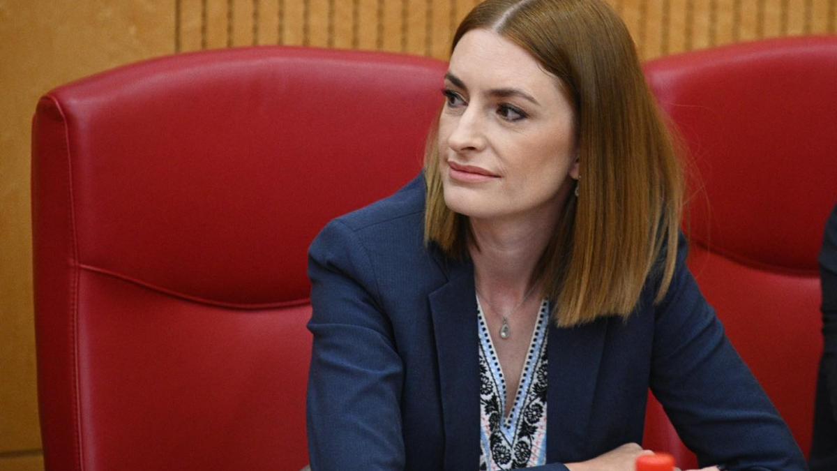 garantiile-de-securitate-din-partea-rusiei--ana-catauta-cred-ca-macron-regreta-acea-declaratie_37420500