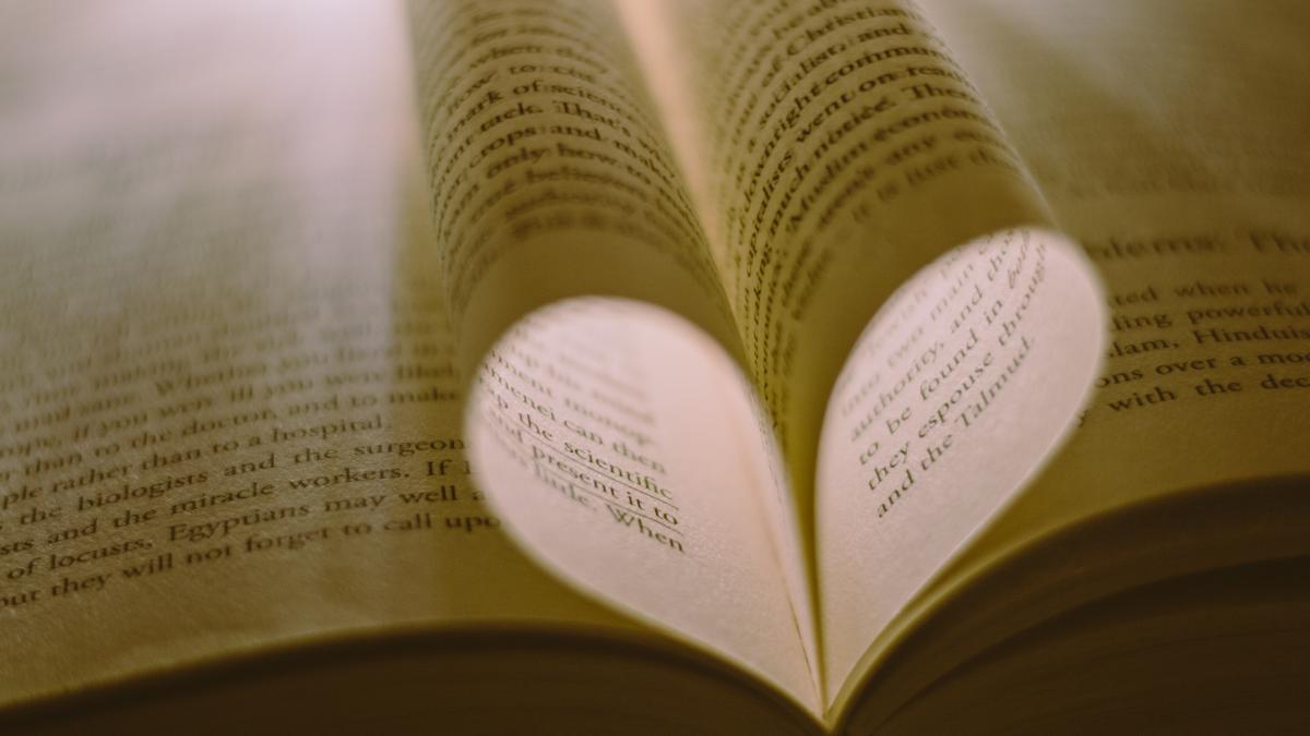 pexels-ravi-kant-2877338_97486500