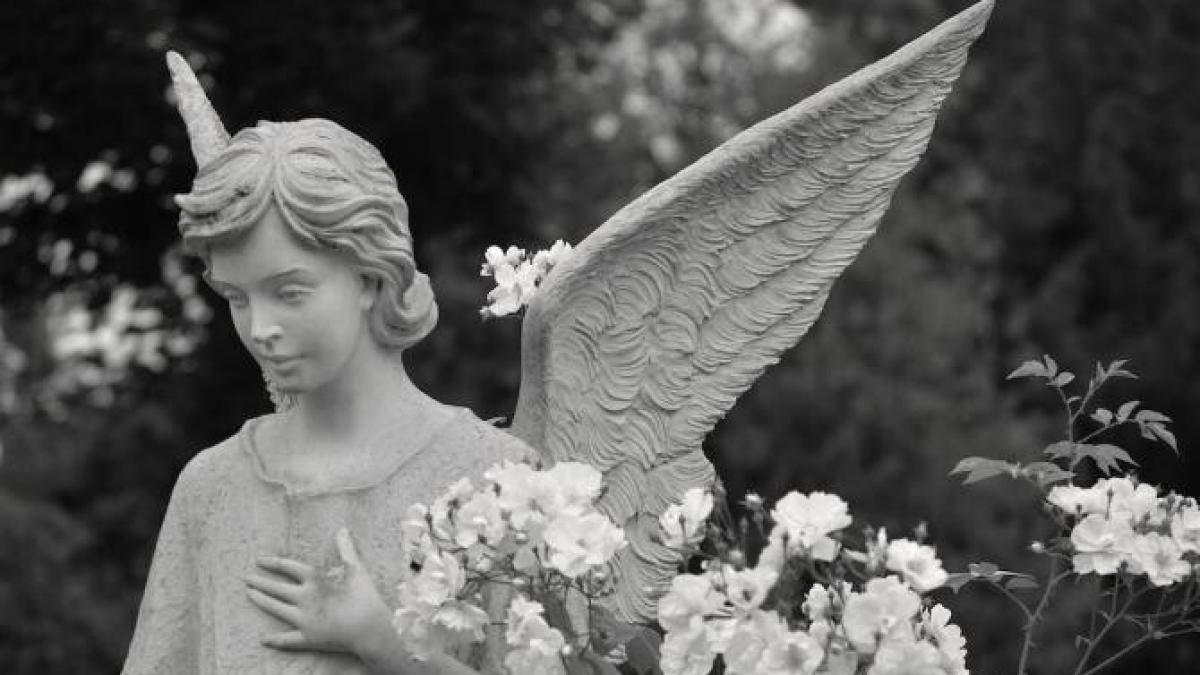 inger_foto_pexels_56918100