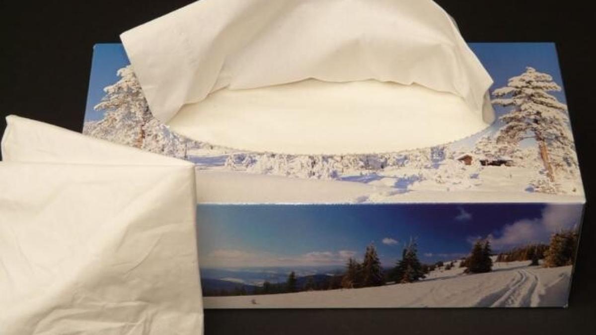 obiectele-si-suprafetele-din-casa--care-nu-pot-fi-sterse-cu-servetele-de-hartie--este-o-mare-greseala_02313900