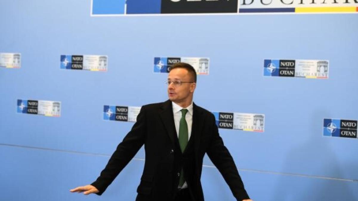 malta-se-alatura-ungariei-si-se-opune-furnizarii-de-arme-catre-kiev_24836700