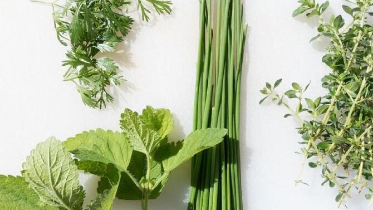 cel-mai-bun-remediu-dupa-excesele-alimentare-de-craciun--se-prepara-rapid-si-este-delicios_73304700