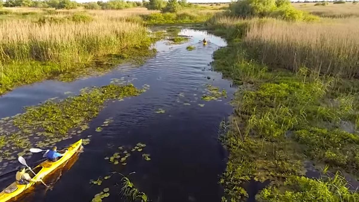 presedintele-cj-tulcea-trebuie-lasate-disputele-si-interesele-meschine-pe-care-unii-ar-gandi-ca-le-ar-putea-face-in-zona-deltei-dunarii_01433100