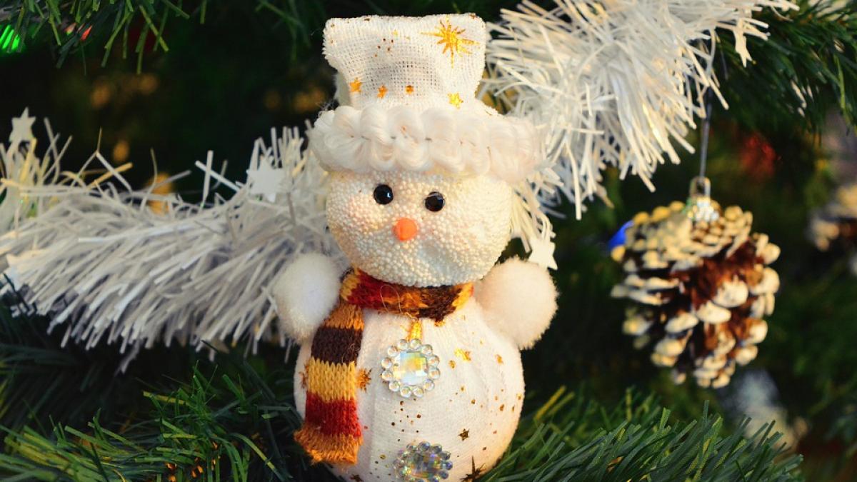 beteala-brad-craciun_79703800