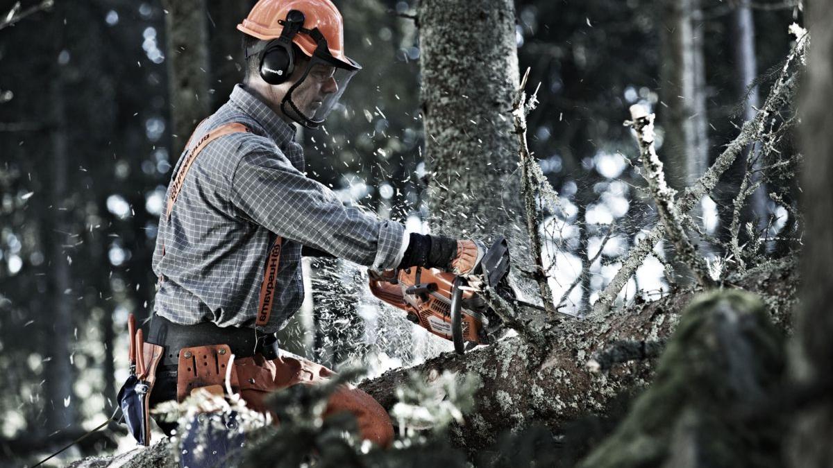 drujba--unul-dintre-cele-mai-prc-e2prc-80prc-9cascultatoareprc-e2prc-80prc-9c-echipamente--atat-timp-cat-este-manevrata-de-maini-cu-adevarat-pricepute-1_44771400