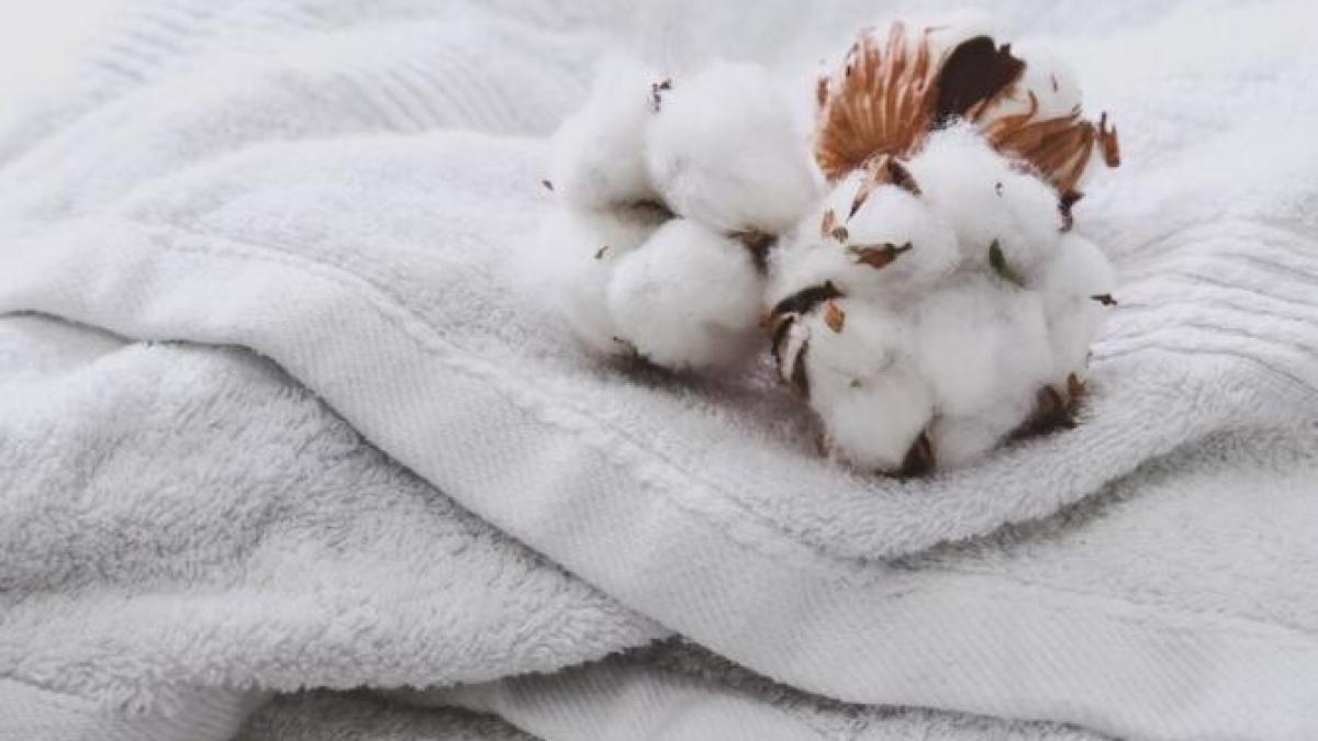 cat-de-des-trebuie-spalate-prosoapele-de-baie--ca-sa-nu-devina-rapid-un-teren-propice-pentru-baterii-si-microbi_30062600