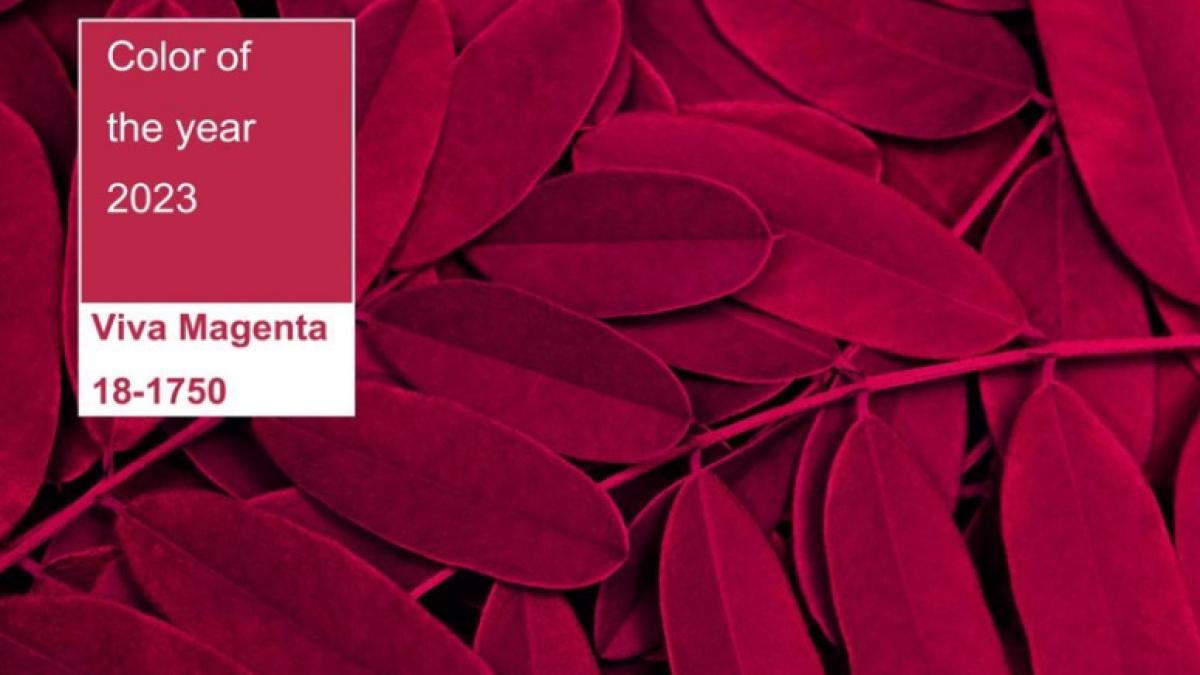 culoarea-anului-2023_01930200