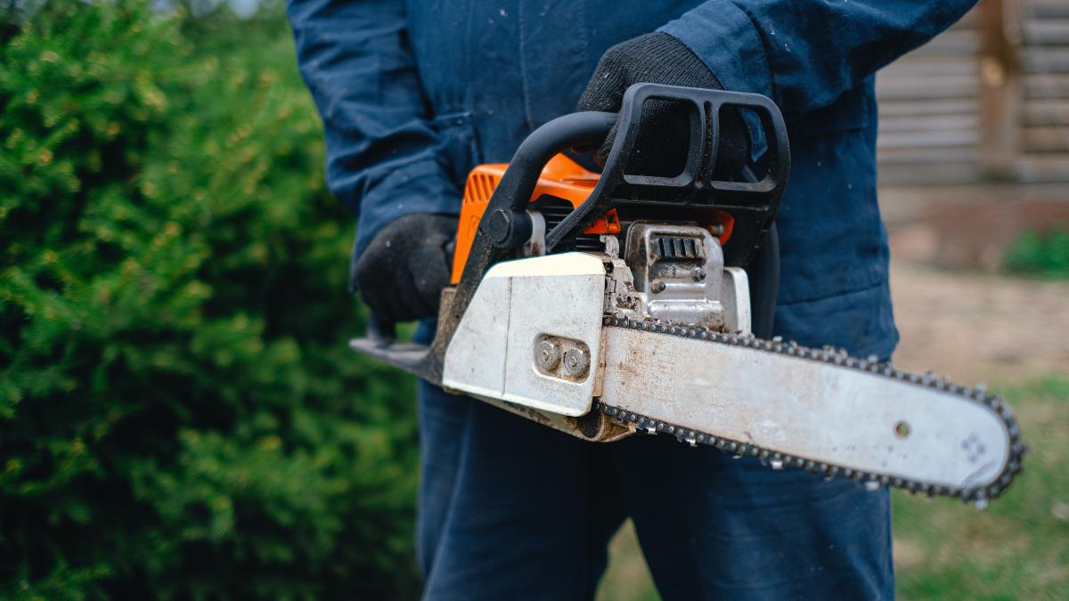 drujba_ucigas_pxl_23838000