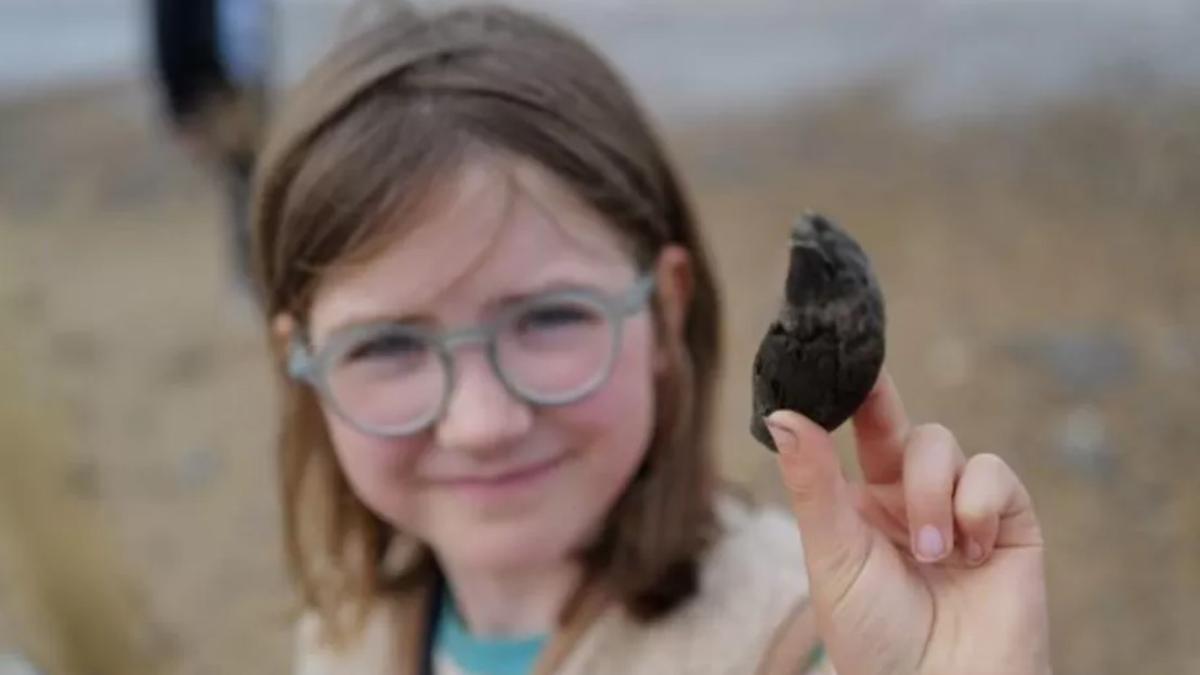 o-fetita-de-9-ani-a-gasit-un-dinte-de-urs-de-700-000-de-ani--prc-e2prc-80prc-9earheologii-cauta-si-20-de-ani-si-nu-gasesc-asa-cevaprc-e2prc-80prc-9d_74459500