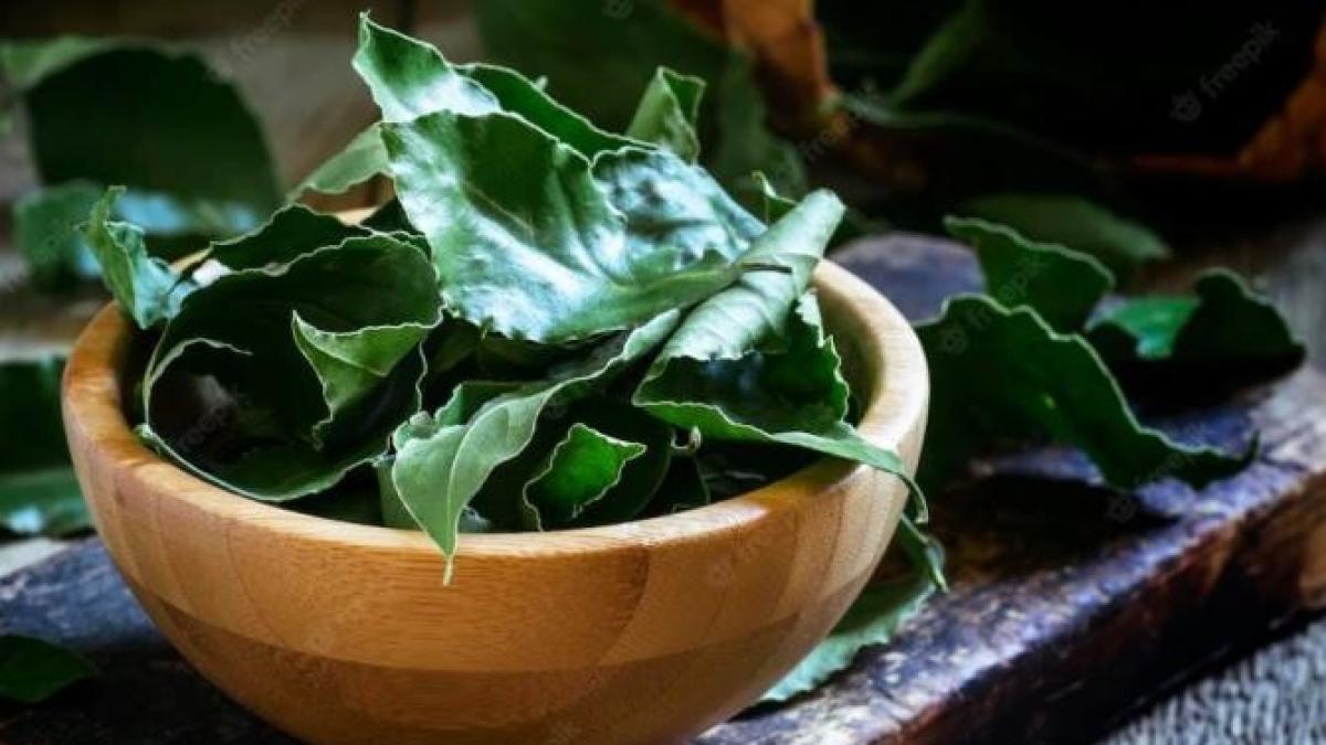 gospodinele-inventive-pun--iarna--frunze-de-dafin-in-cuptor--iata-de-ce-fac-asta_04328000