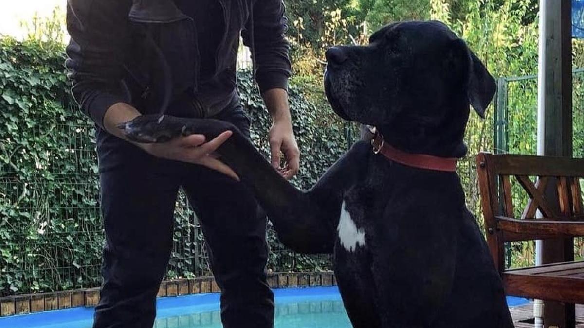 vlad_soare_cristian_avocat_artificii_fb_09406100