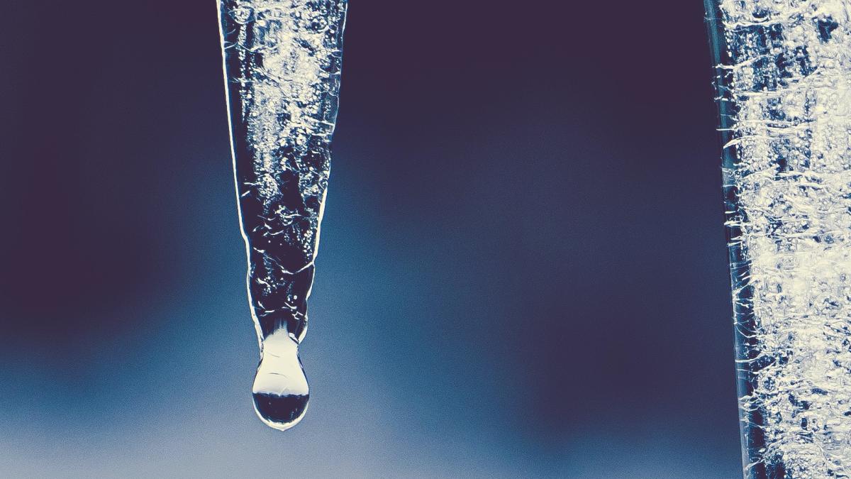 pexels-jessica-lewis-creative-189389_61622300