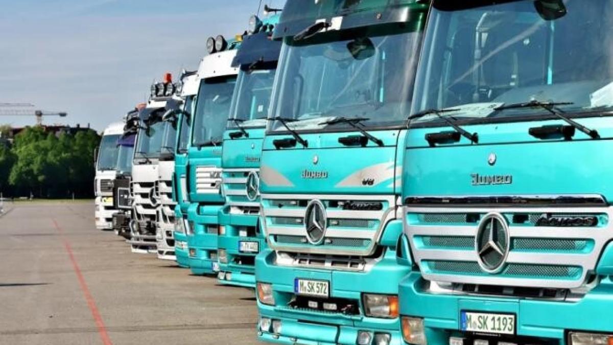 mai-multe-camioane-cu-soia-modificataprc-ccprc-86-genetic-au-paprc-ccprc-86raprc-ccprc-86sit-fraudulos_07180400