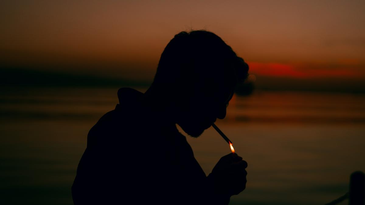 cancer-sanador-pexels-aprc-c2prc-b6mer-kayan-14951758_63720000