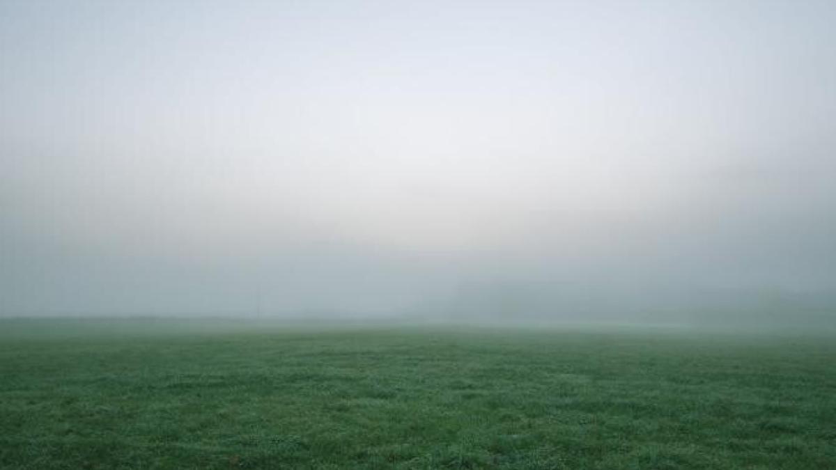 ceata_foto_pexels_63071100