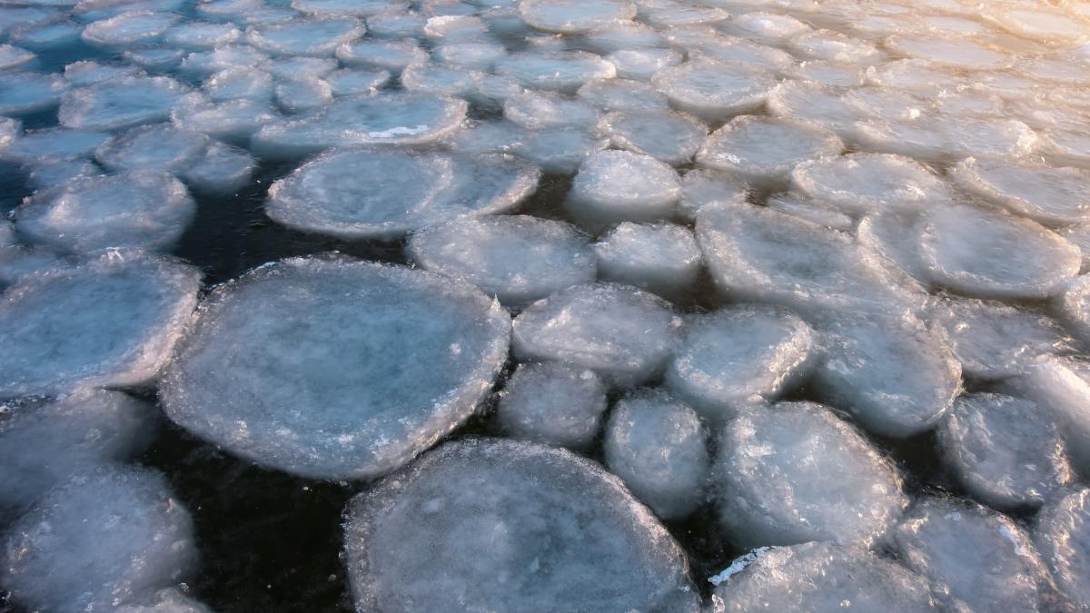 clatite-inghetate-scotia_99767500