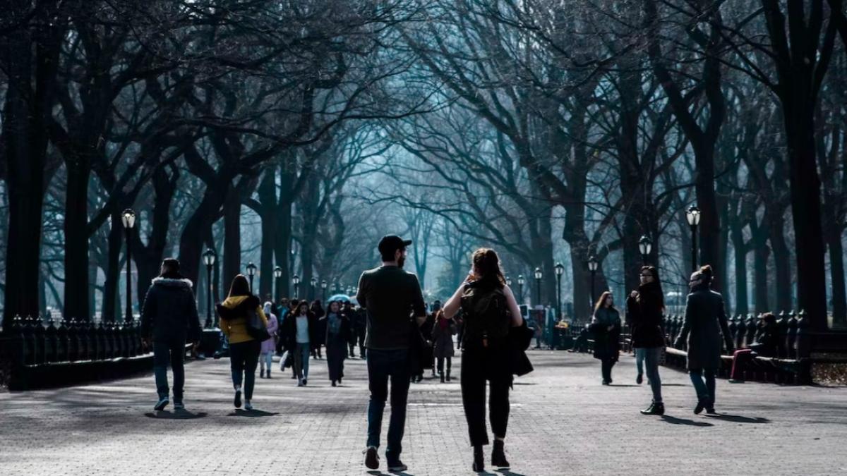 nicoleta-ghiris-la-ce-sa-fie-atenti-romanii-in-anul-cainelui-de-apa_59158700