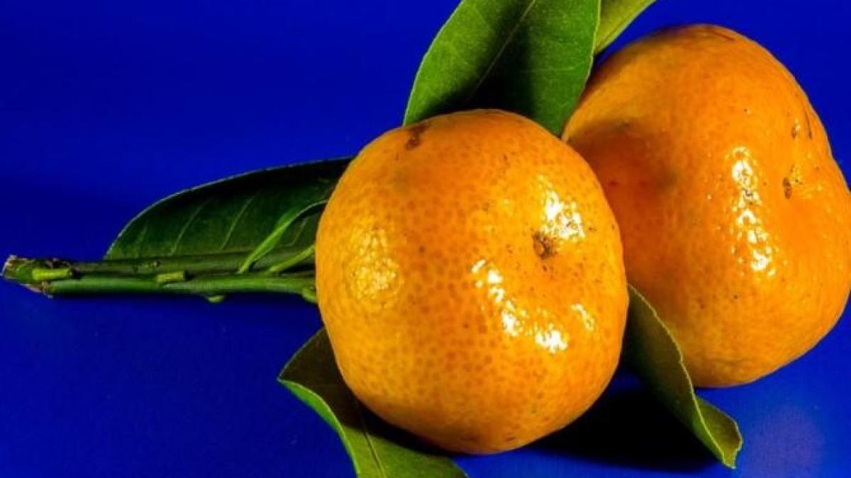 mandarinele--benefice-pentru-piele-si-par--iata-cum-le-poti-folosi_97014700