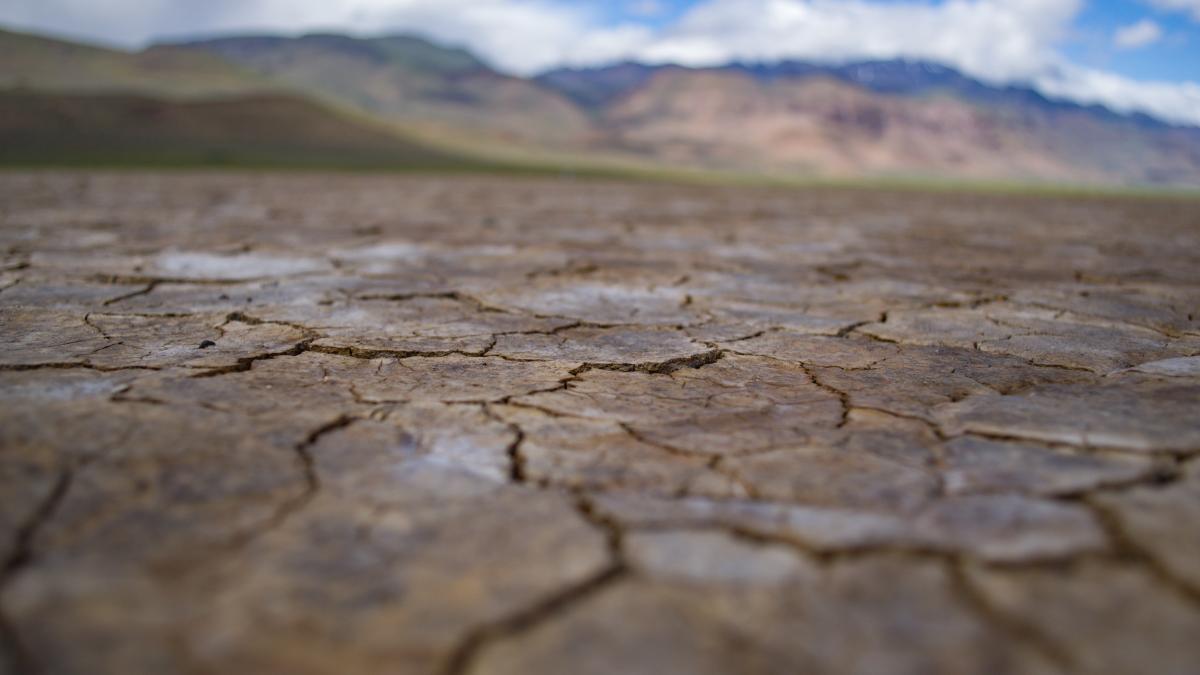 clima_opt_ani_caldura_pxl_30811100