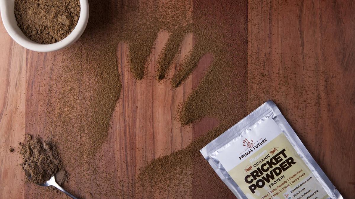 retete-faina-greieri-aprobata-ue_58285500