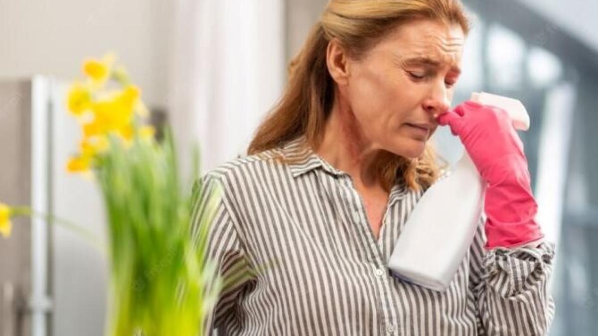 parfumeaza-casa-si-elimina-toate-mirosurile-neplacute_56827100