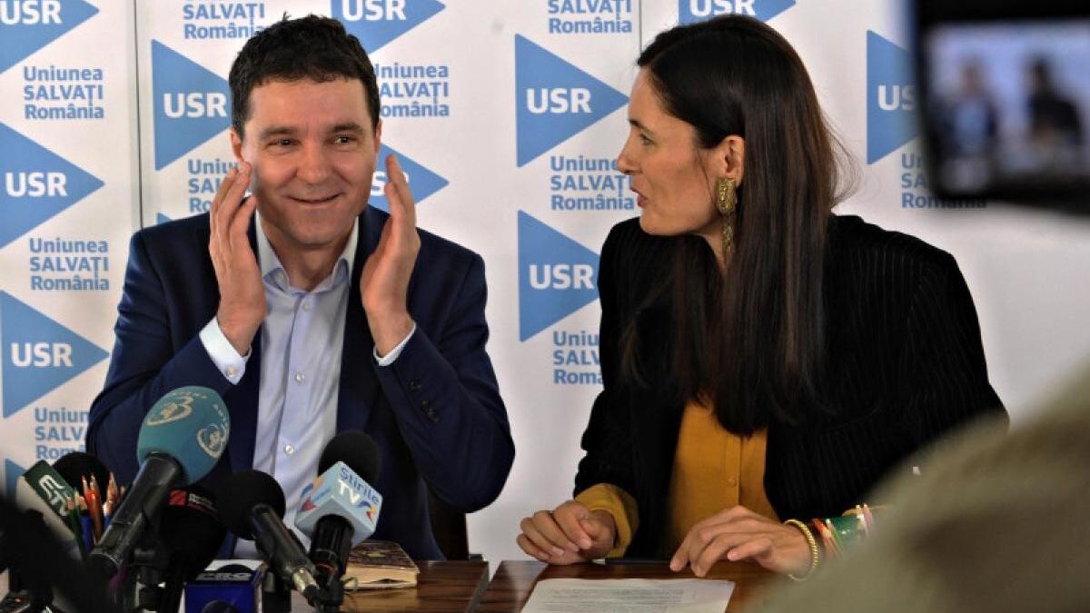 tinu-sebesanu-problema-greenfield-in-pixul-lui-clotilde-armand-sau-nicusor-dan_13030000