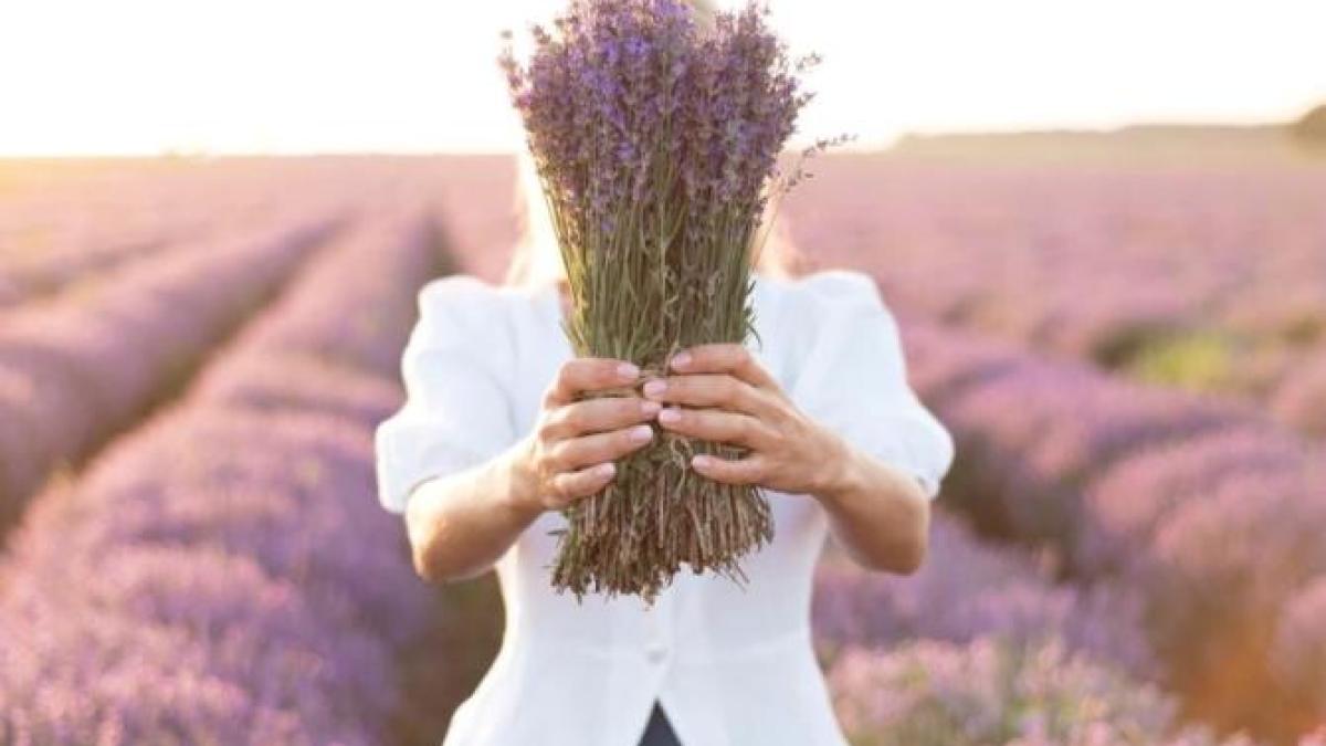 apa-cu-sare-pentru-dureri-in-gat-si-levantica-pentru-insomnii_69557600