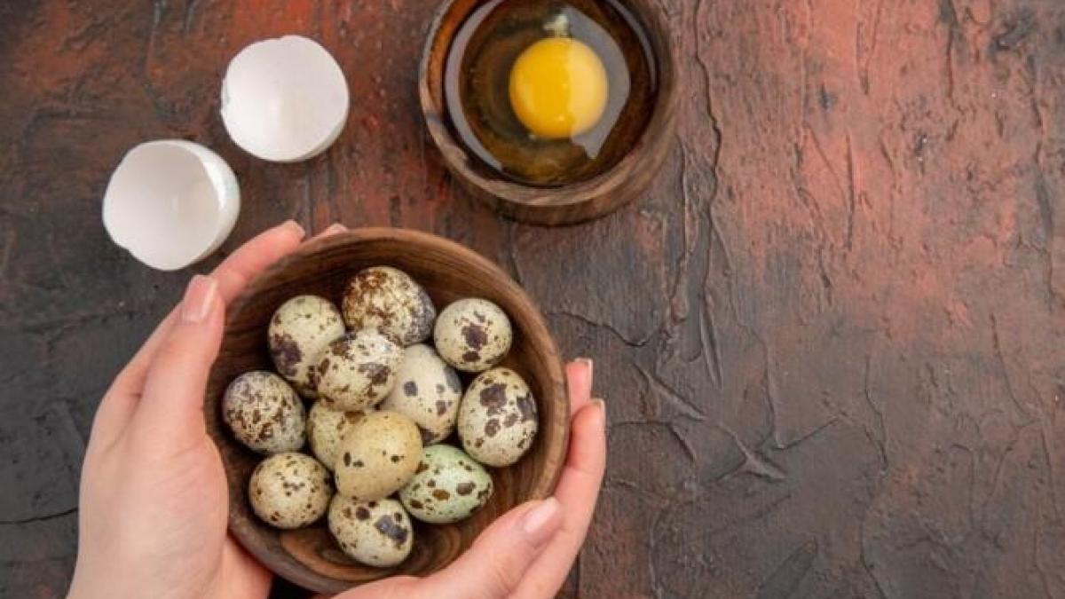 consuma-oua-de-prepelita---sunt-bogate-in-nutrienti-si-antioxidanti_47064000