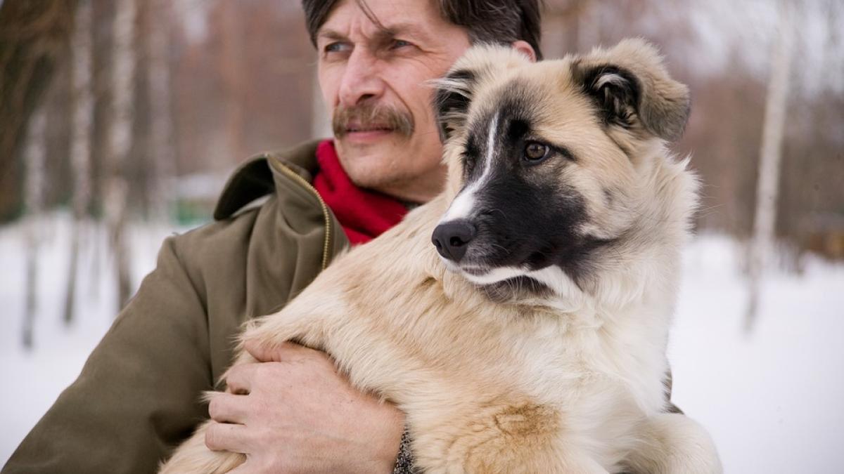 caine-om-prietenie-loialitate_85781500