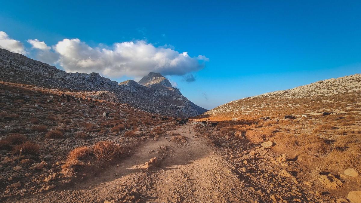 drumul-bimini_95791500