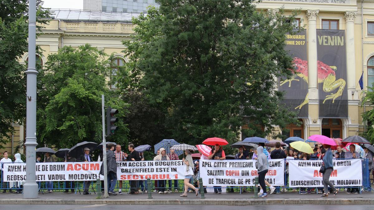 greenfield_protest_sectorul1_nodpapura_inquam_14749800