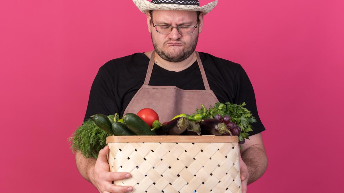 legumicultor_49456000